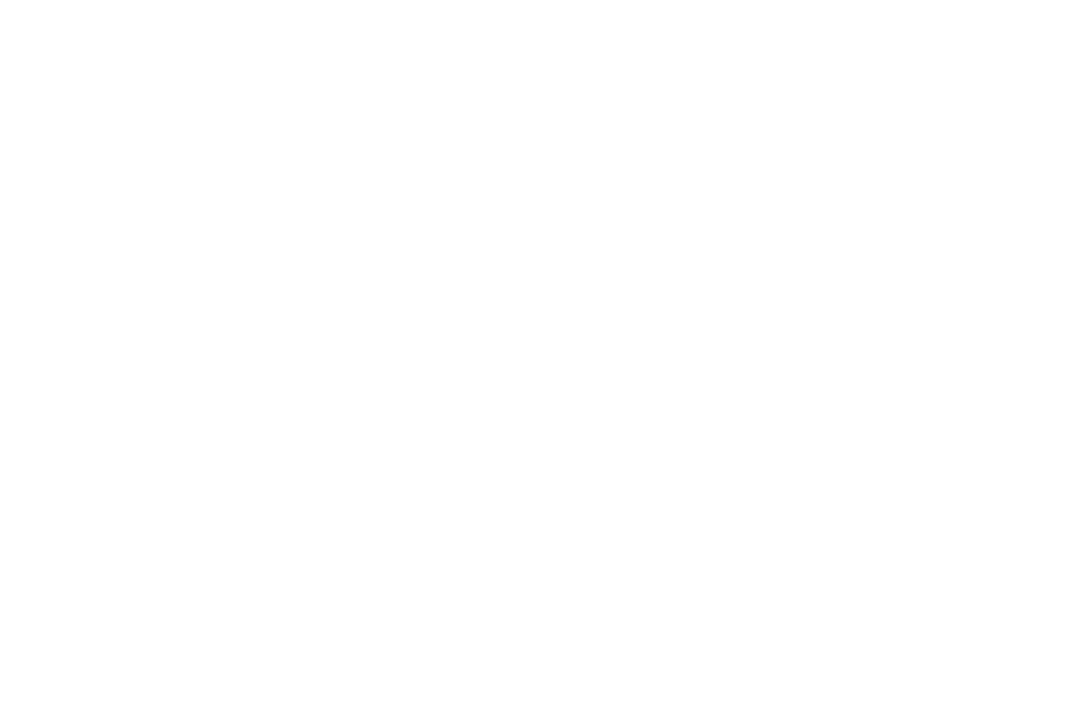 明治製薬 納豆キナーゼ