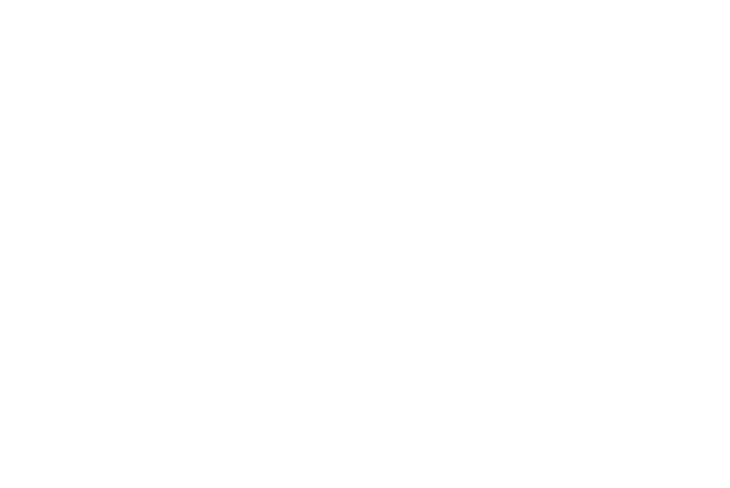 明治製薬 納豆キナーゼ